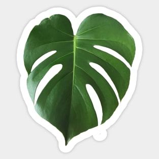 Monstera Leaf Sticker